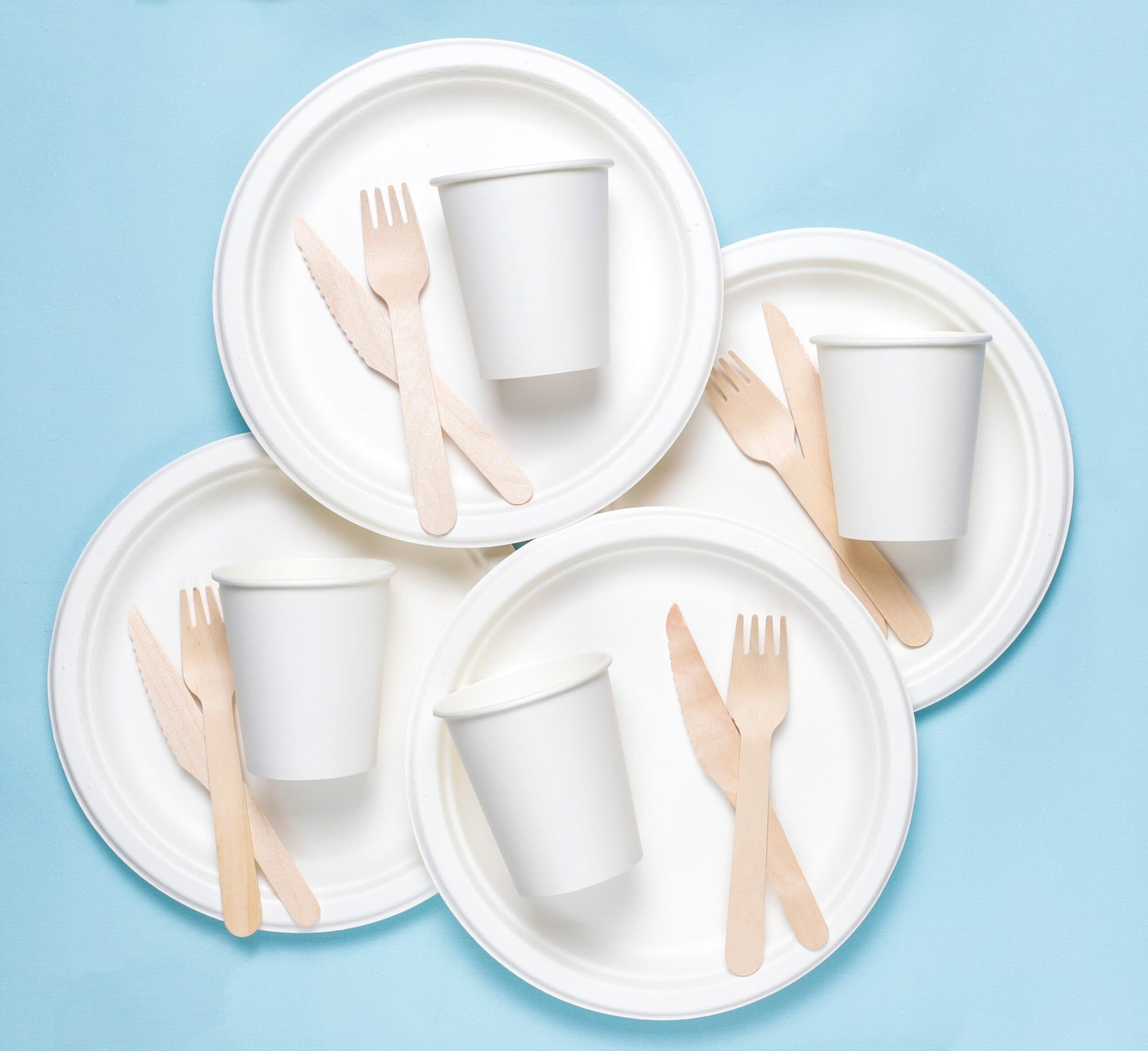 Assorted bagasse tableware laid out on floor