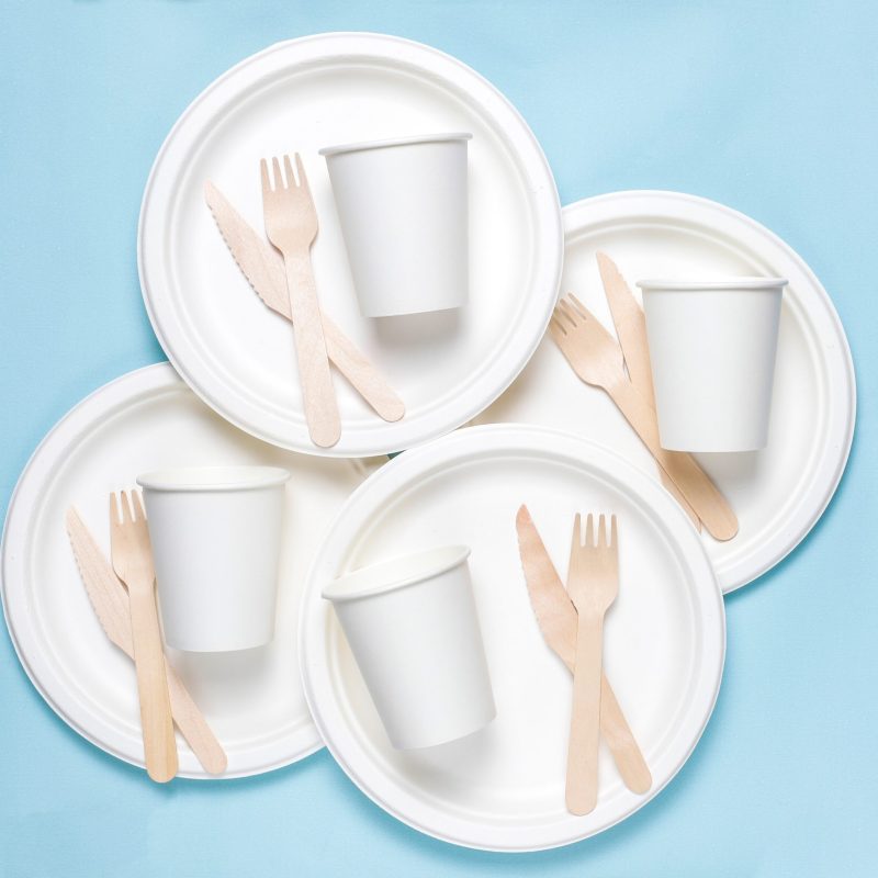 Bagasse Tableware